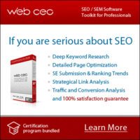 SEO: WebCEO review
