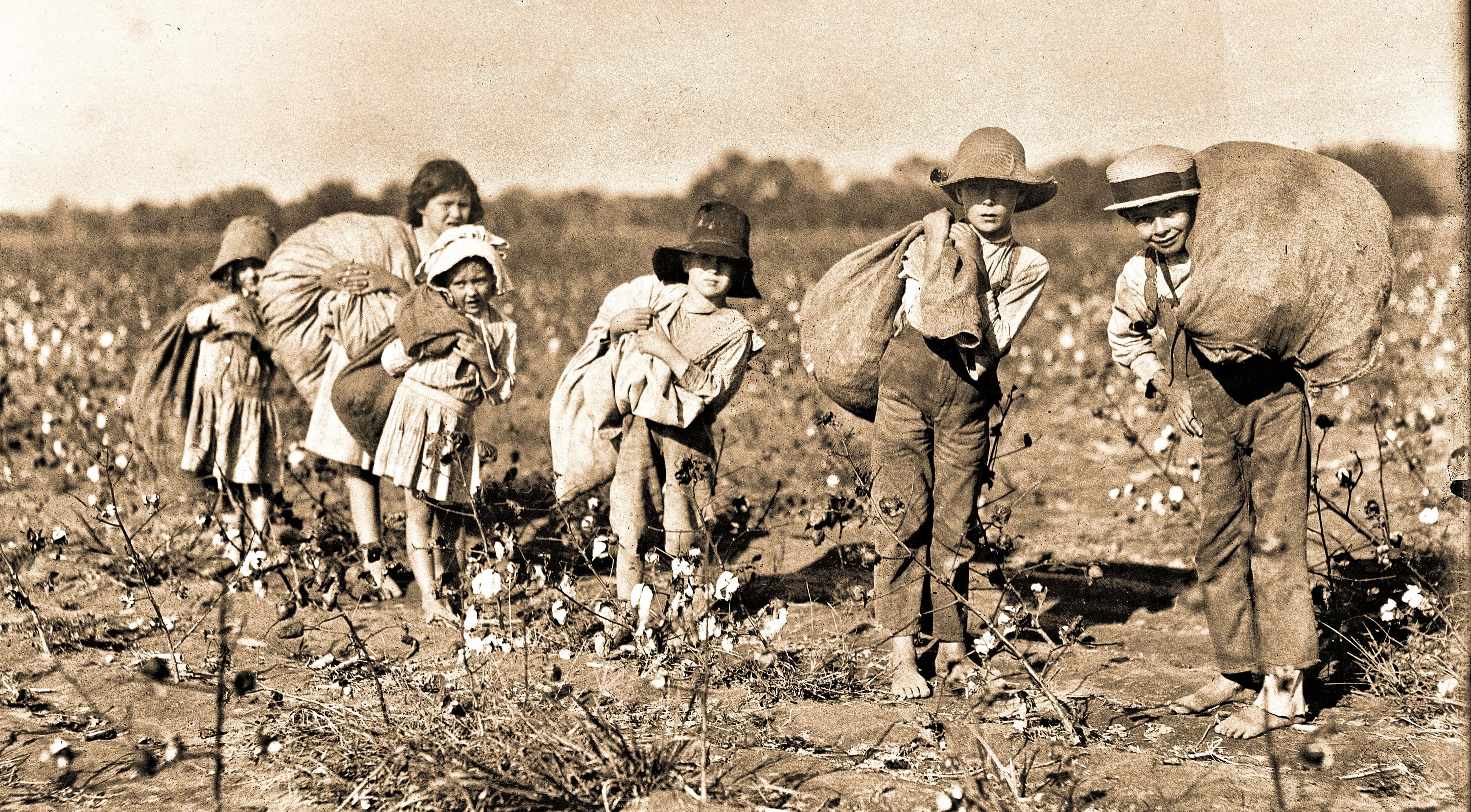 Children-Picking-Cotton-United-States