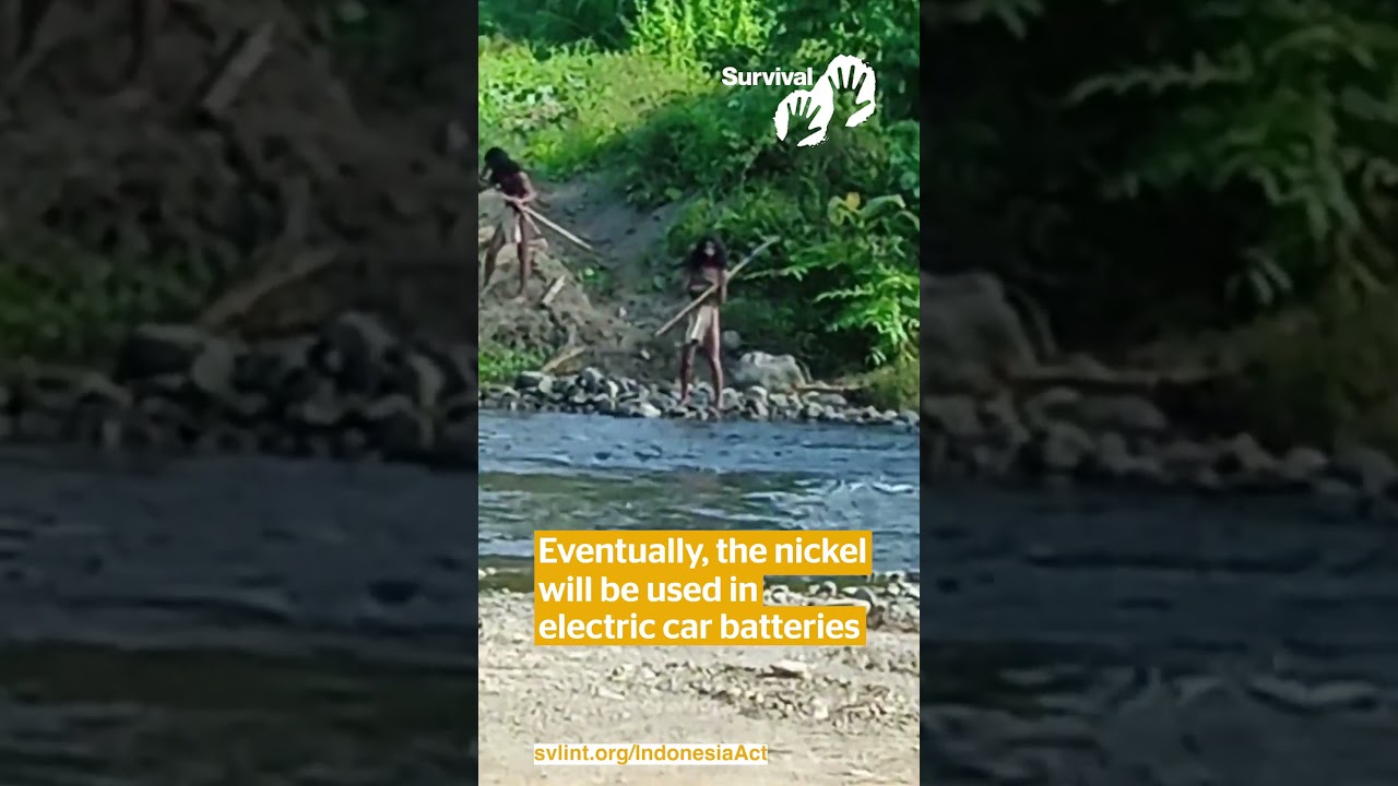 New “catastrophic” footage shows uncontacted tribe near nickel mine