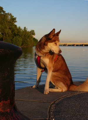 Yukon-At-Sunset